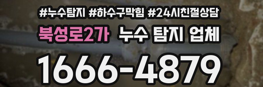 북성로2가 누수 탐지 업체