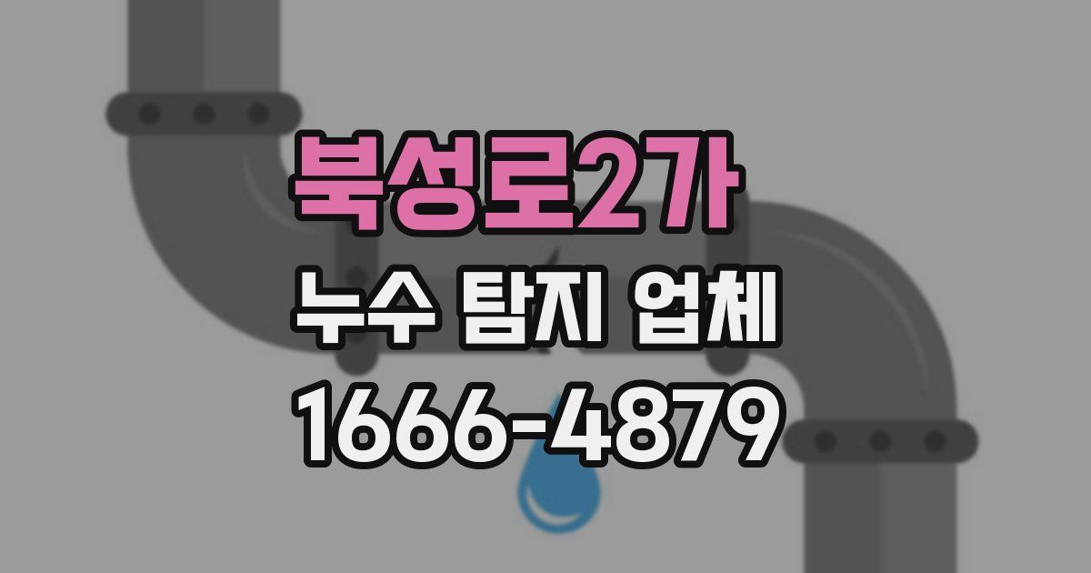 북성로2가 누수 탐지 업체