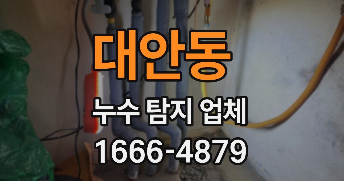 대안동 누수 탐지 업체