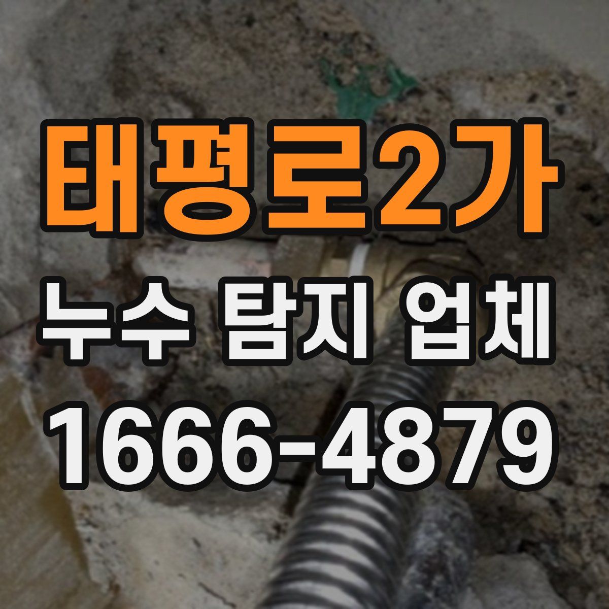 태평로2가 누수 탐지 업체