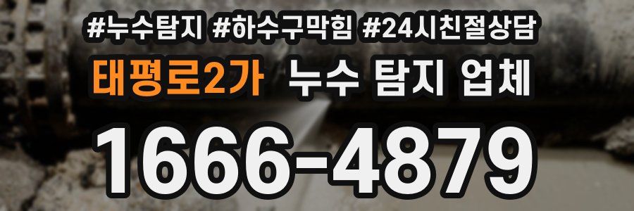 태평로2가 누수 탐지 업체