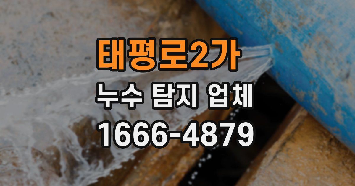 태평로2가 누수 탐지 업체