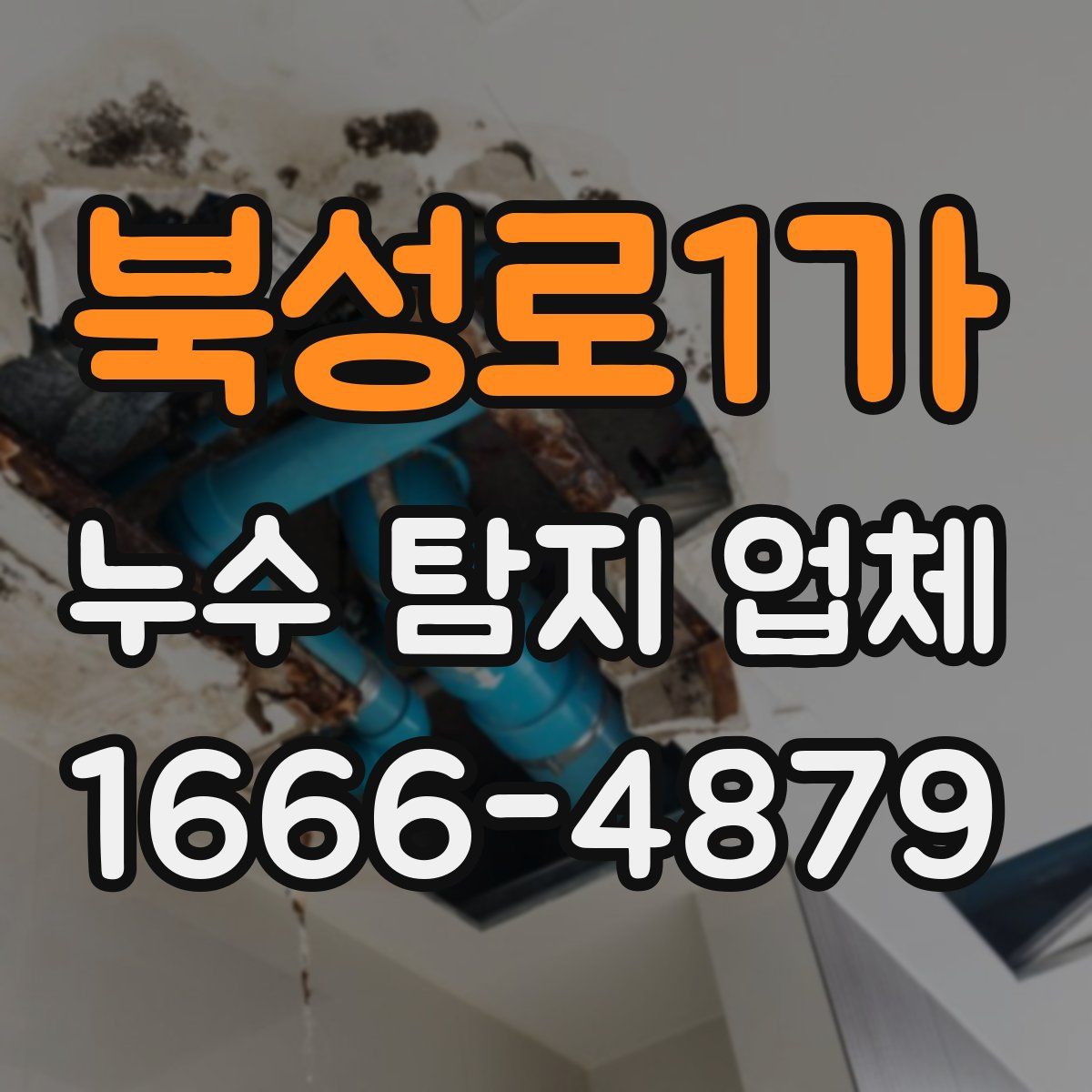 북성로1가 누수 탐지 업체