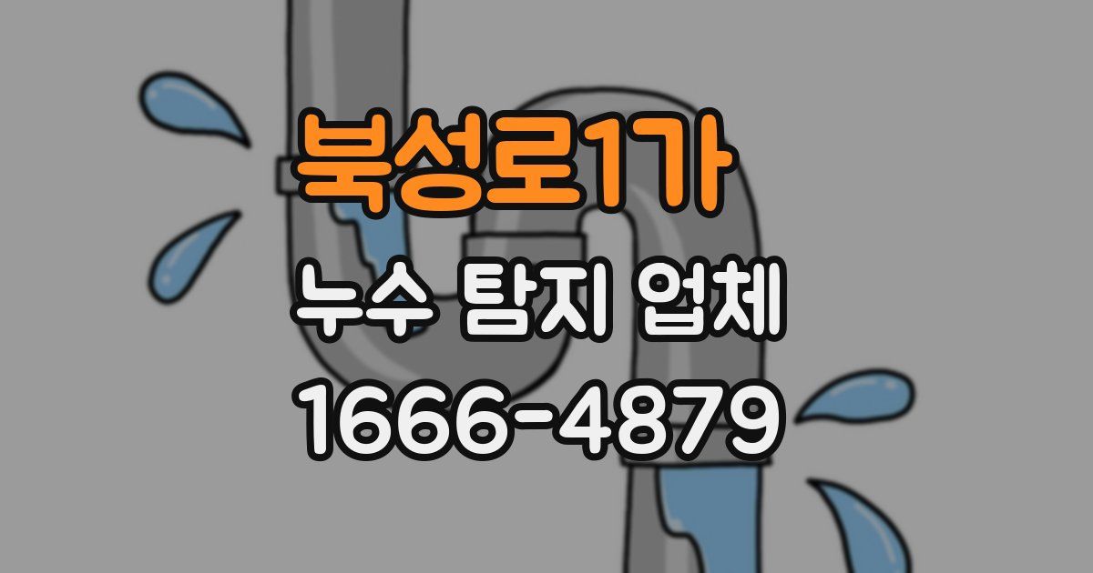 북성로1가 누수 탐지 업체