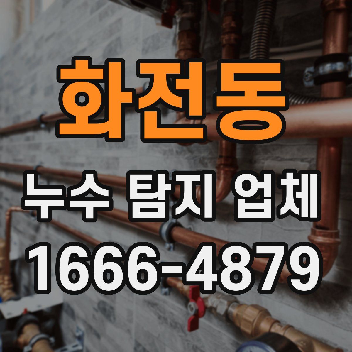 화전동 누수 탐지 업체