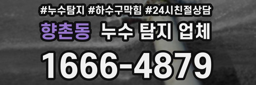 향촌동 누수 탐지 업체