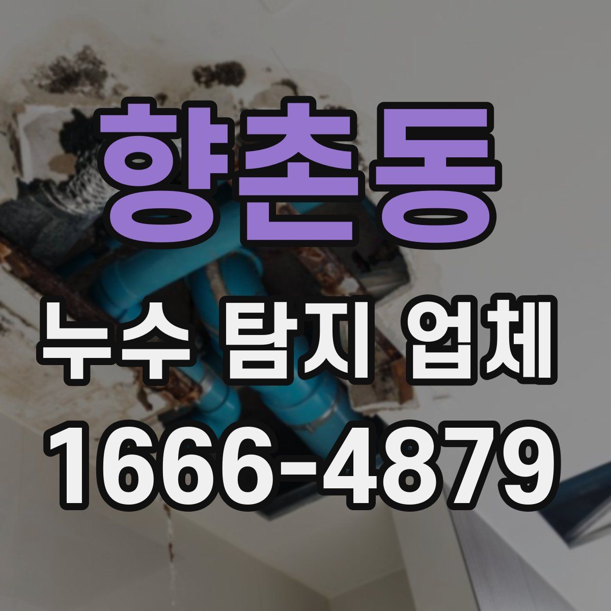 향촌동 누수 탐지 업체