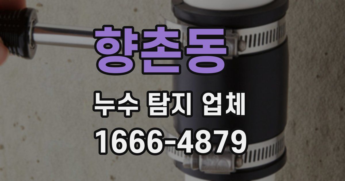 향촌동 누수 탐지 업체