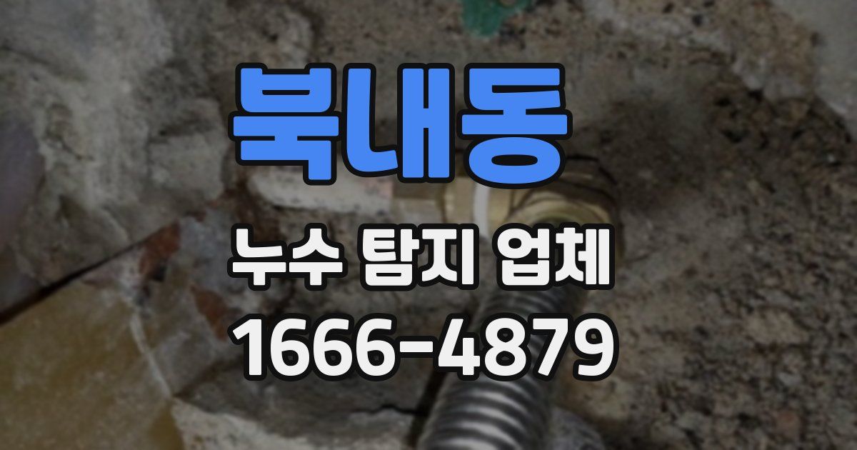 북내동 누수 탐지 업체
