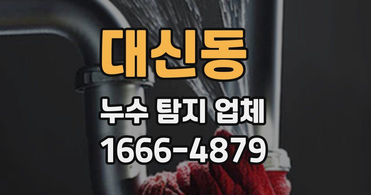 대신동 누수 탐지 업체