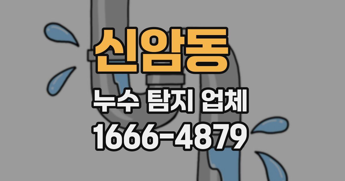 신암동 누수 탐지 업체
