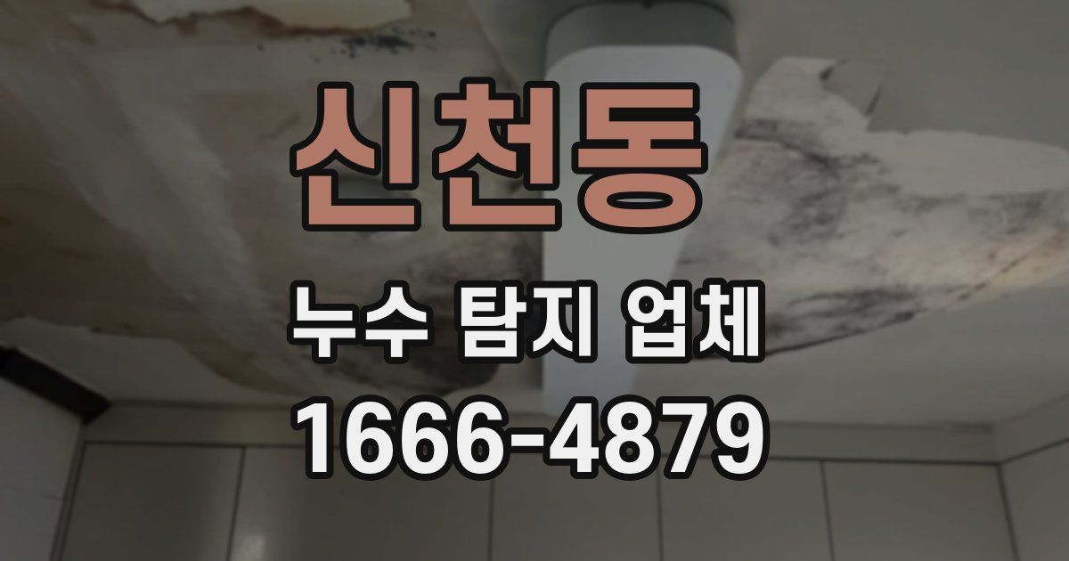 신천동 누수 탐지 업체