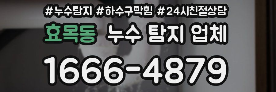 효목동 누수 탐지 업체