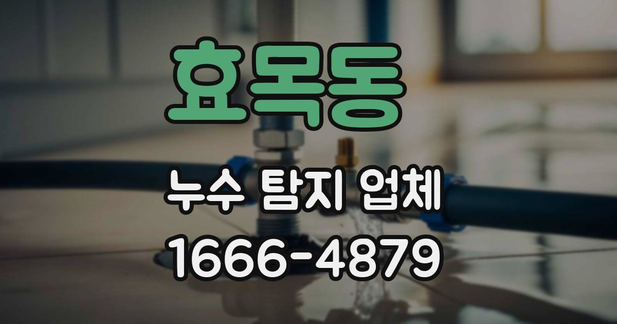 효목동 누수 탐지 업체