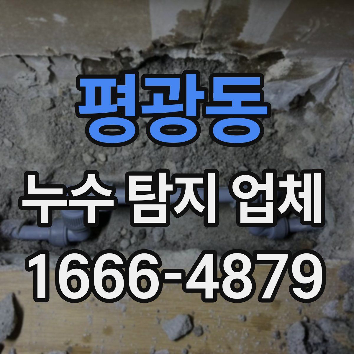 평광동 누수 탐지 업체