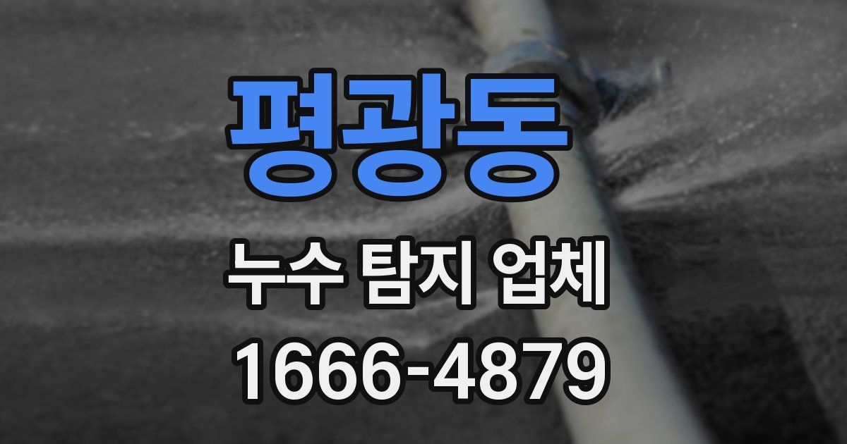 평광동 누수 탐지 업체