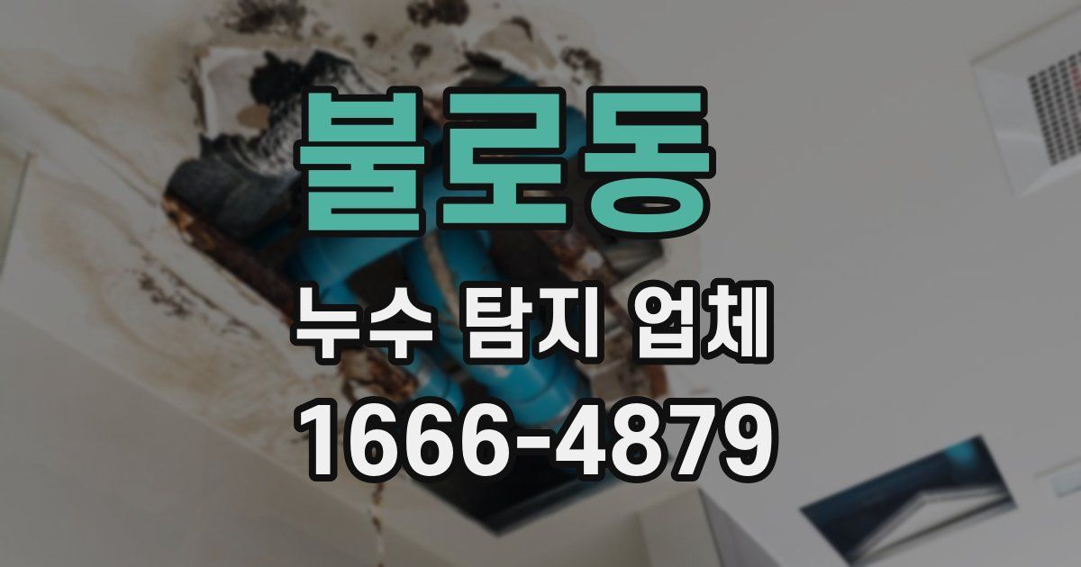 불로동 누수 탐지 업체