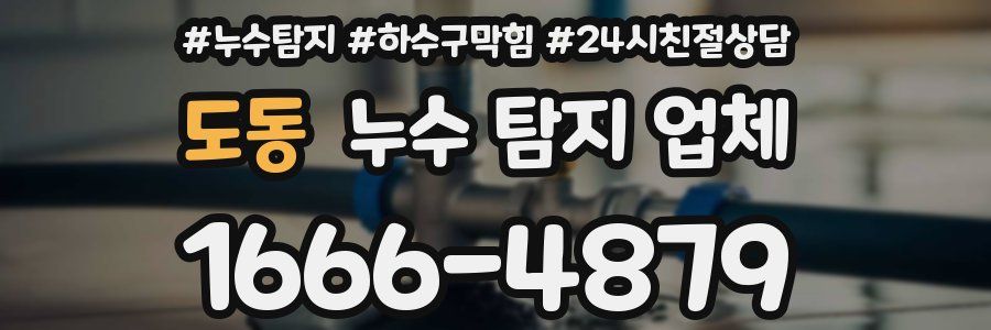 도동 누수 탐지 업체