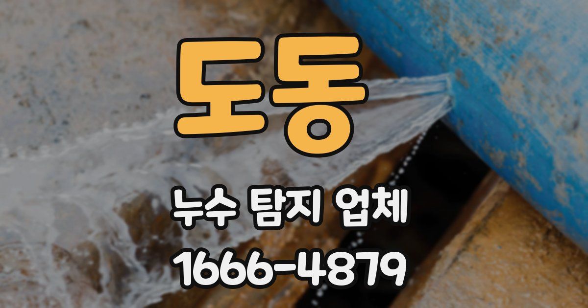 도동 누수 탐지 업체