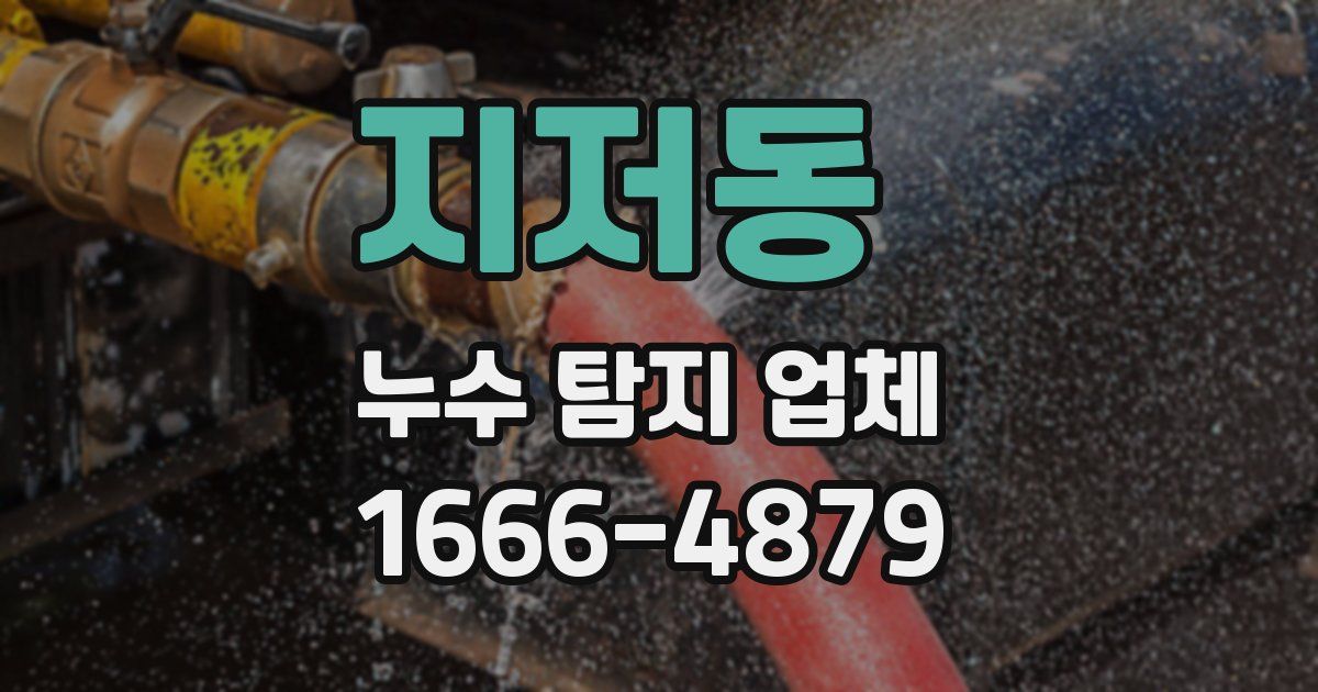 지저동 누수 탐지 업체