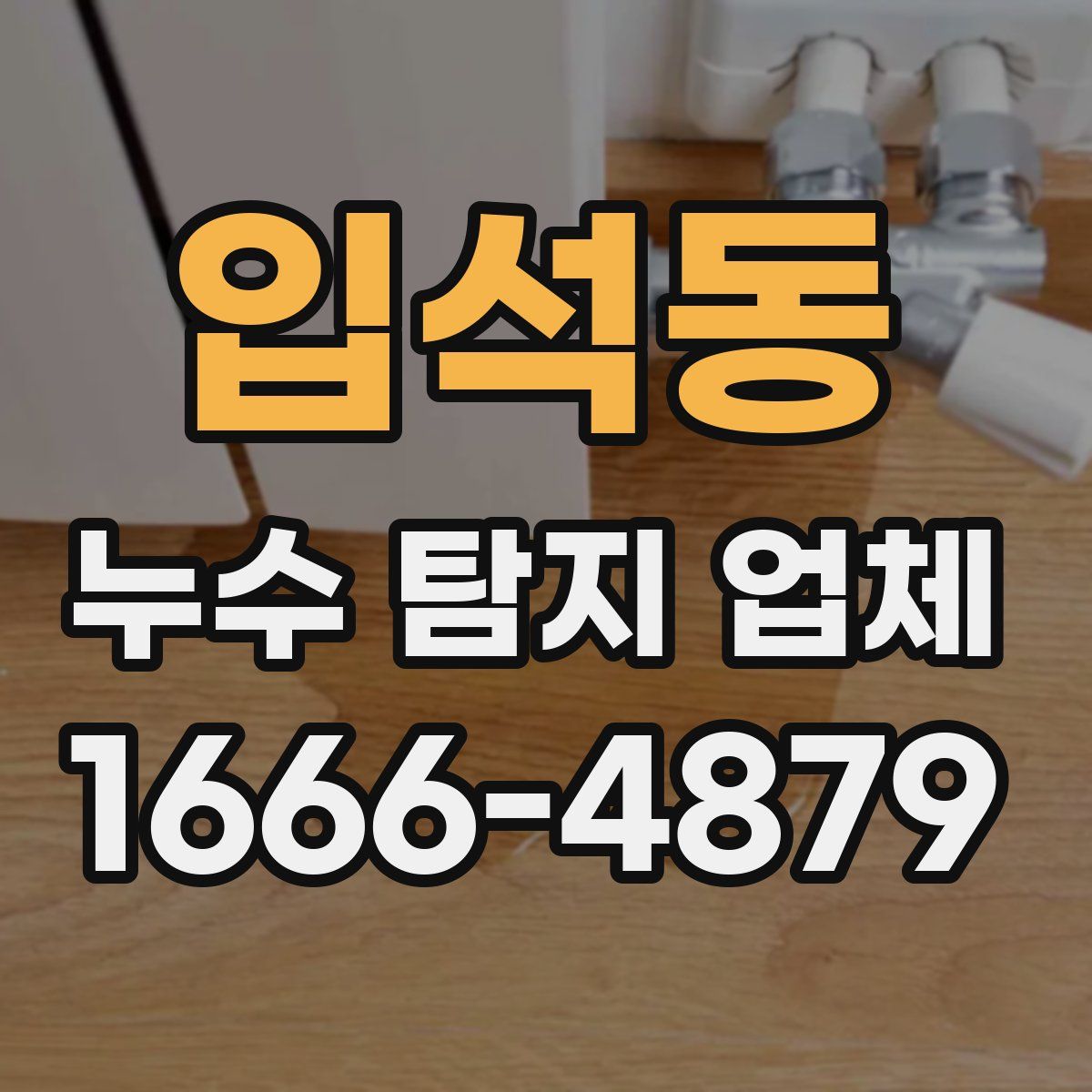 입석동 누수 탐지 업체