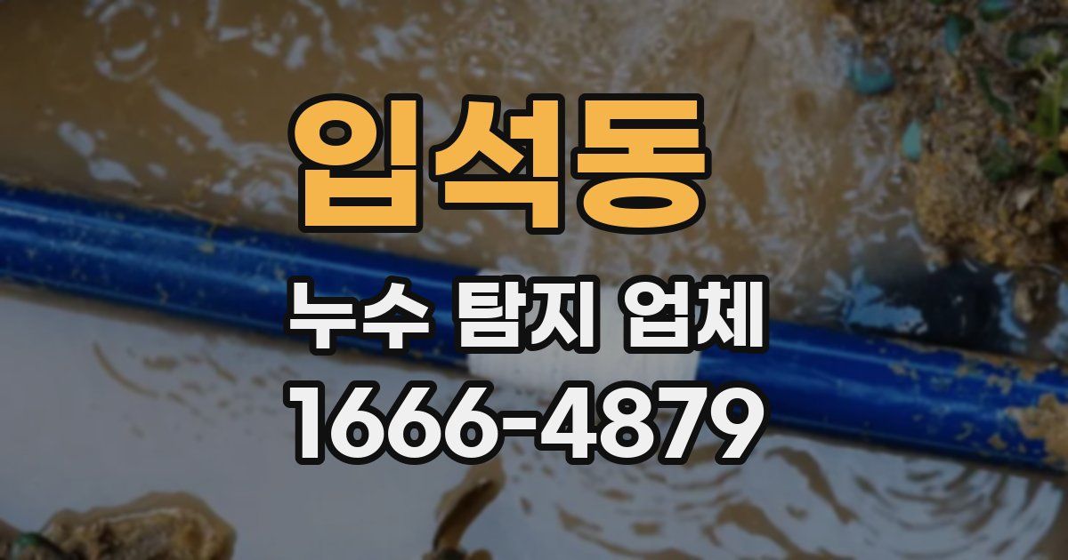 입석동 누수 탐지 업체