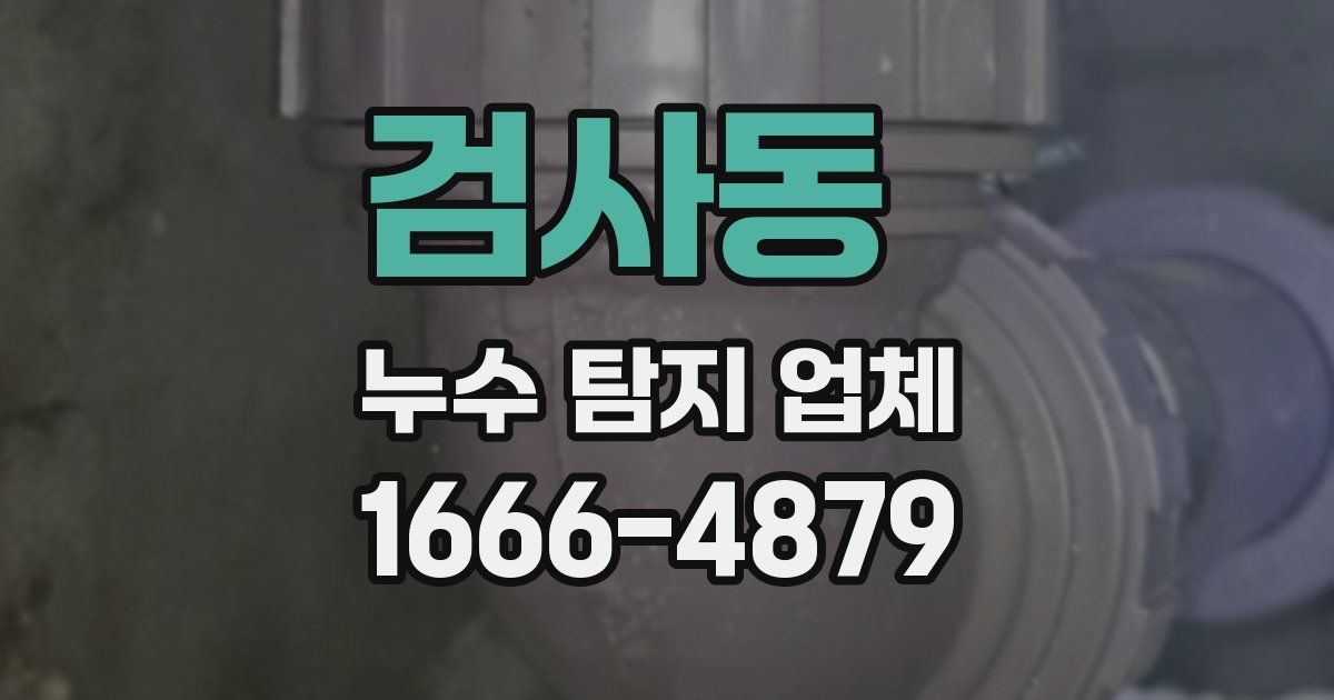 검사동 누수 탐지 업체