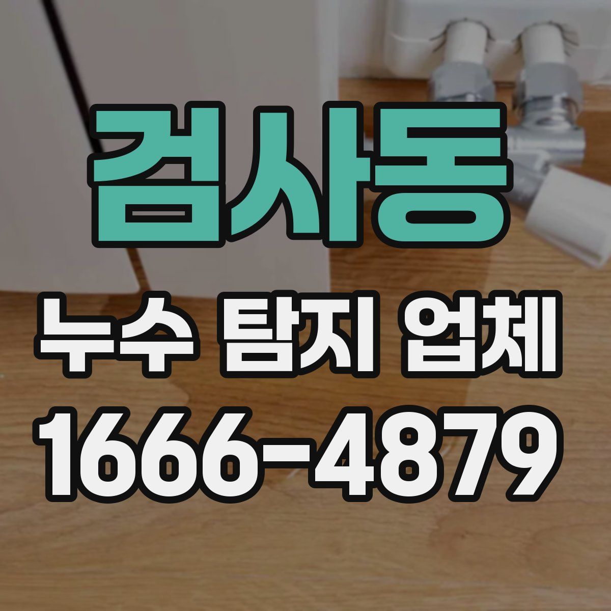검사동 누수 탐지 업체