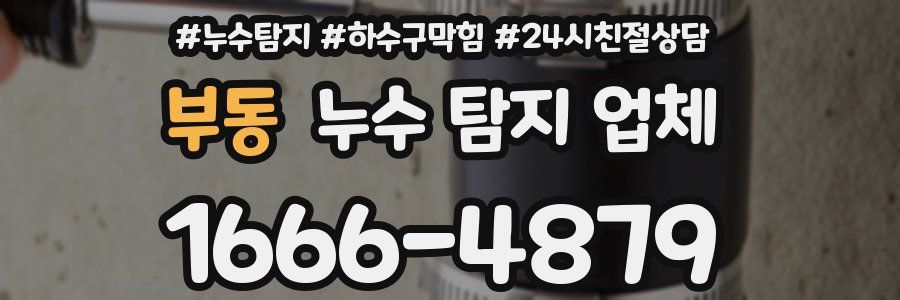 부동 누수 탐지 업체