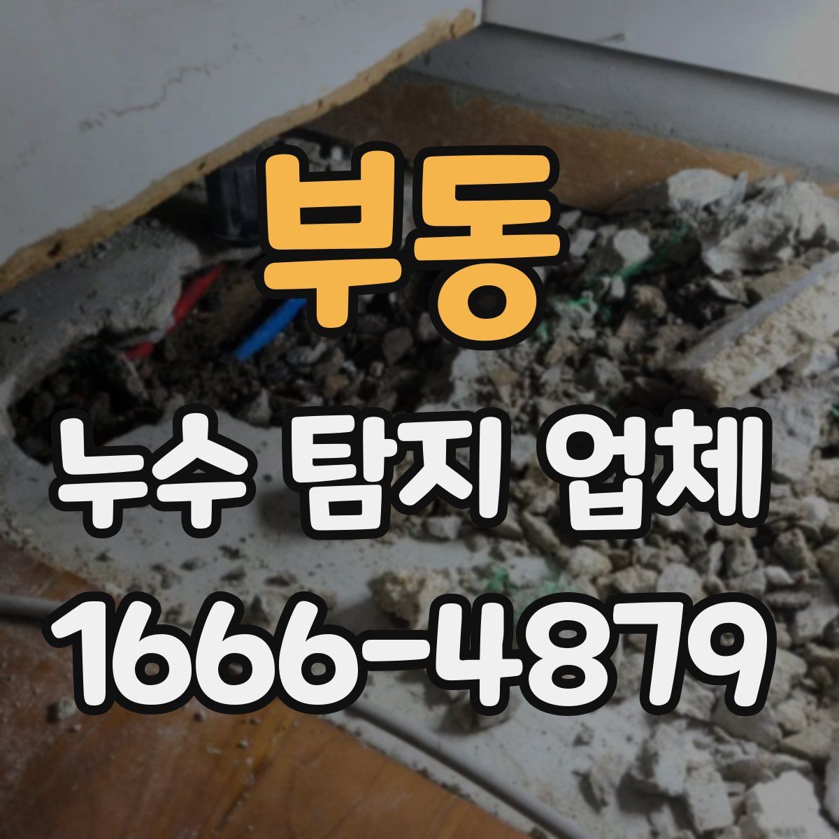 부동 누수 탐지 업체