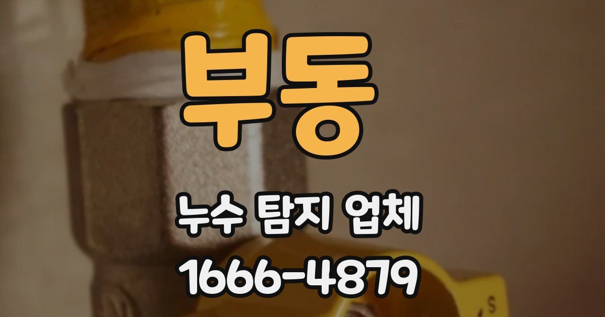 부동 누수 탐지 업체