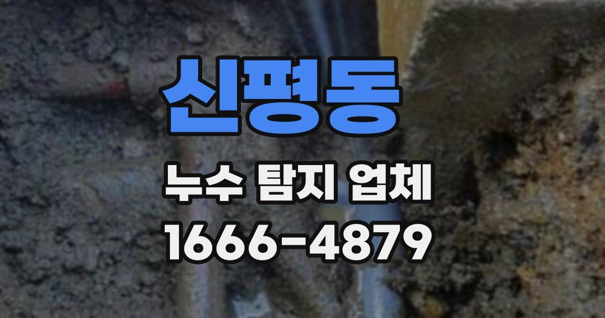신평동 누수 탐지 업체