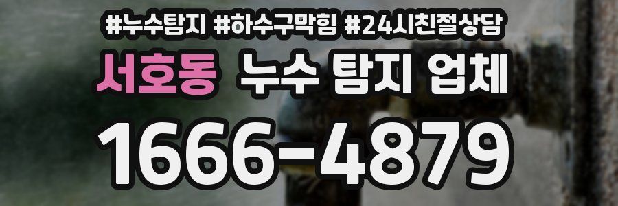서호동 누수 탐지 업체