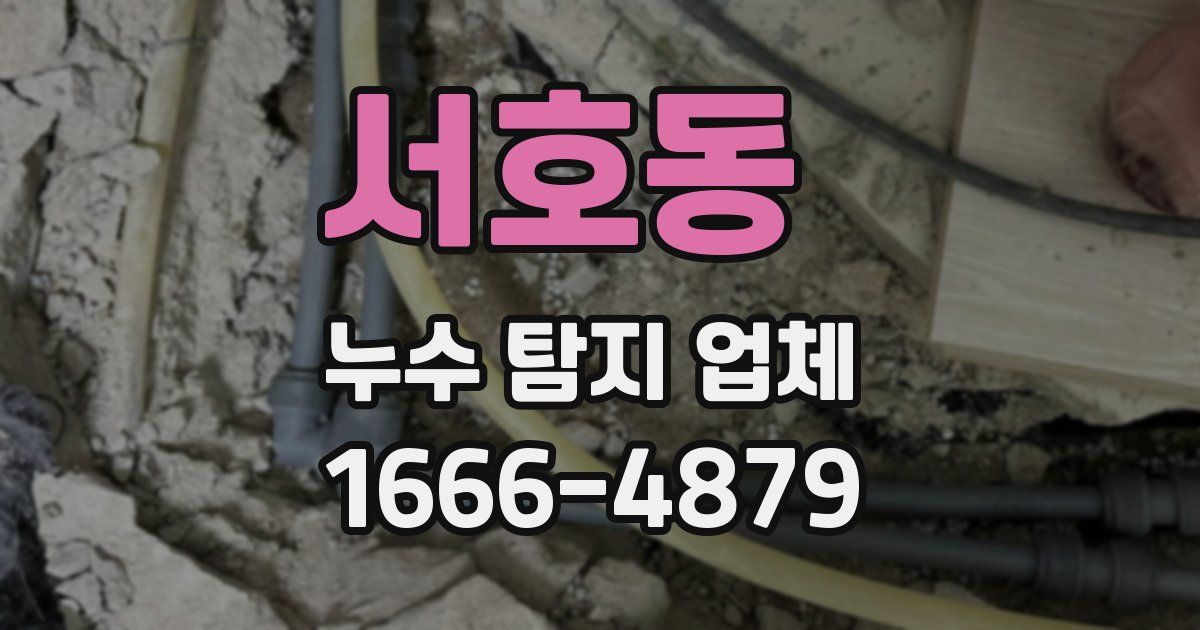 서호동 누수 탐지 업체