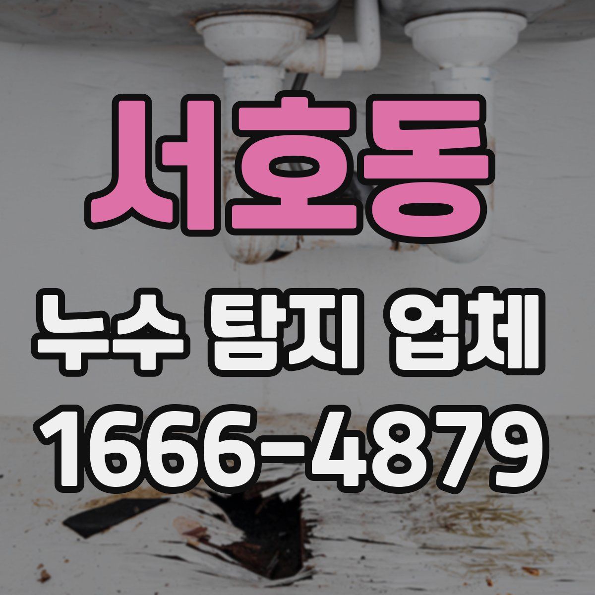 서호동 누수 탐지 업체