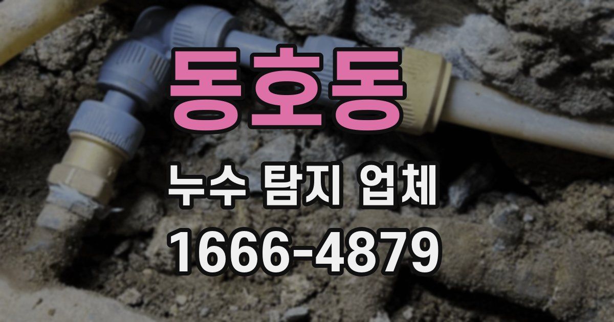 동호동 누수 탐지 업체