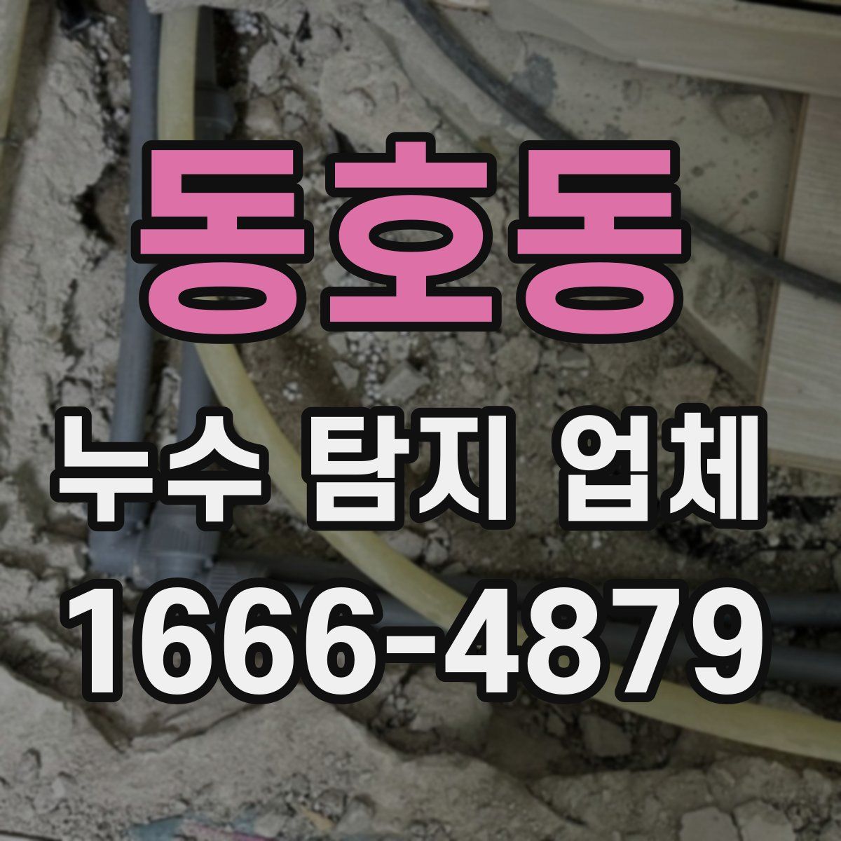 동호동 누수 탐지 업체