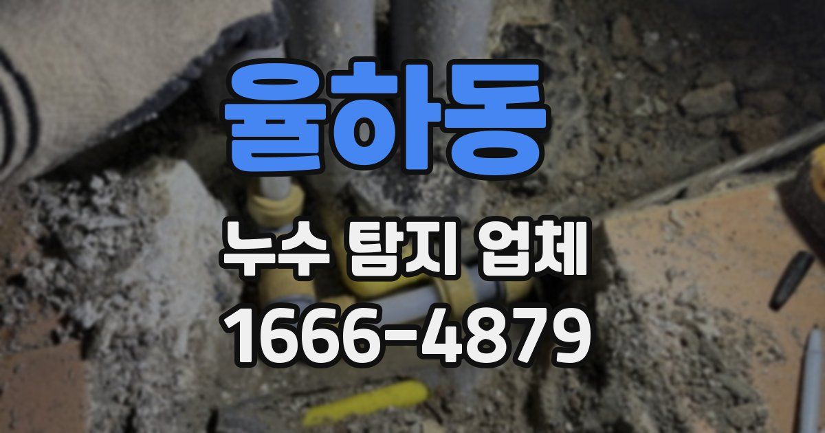 율하동 누수 탐지 업체