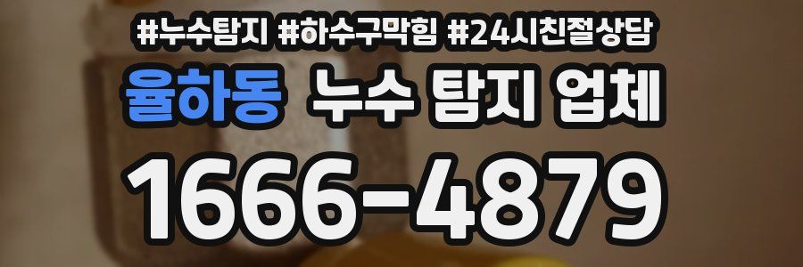 율하동 누수 탐지 업체