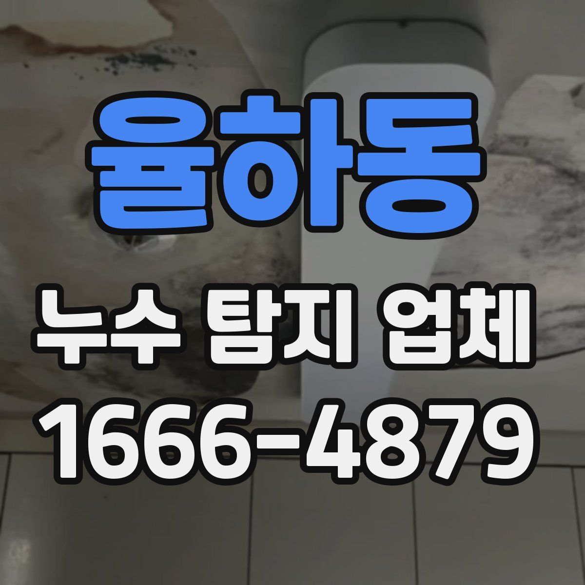 율하동 누수 탐지 업체