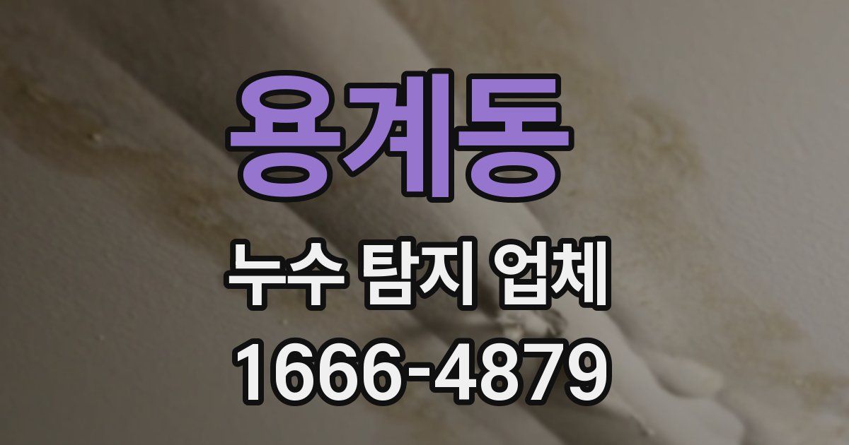 용계동 누수 탐지 업체