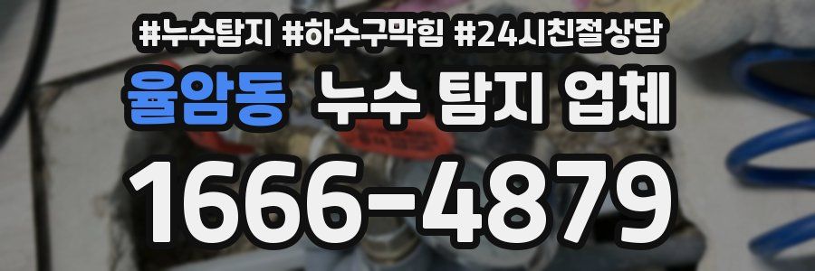 율암동 누수 탐지 업체