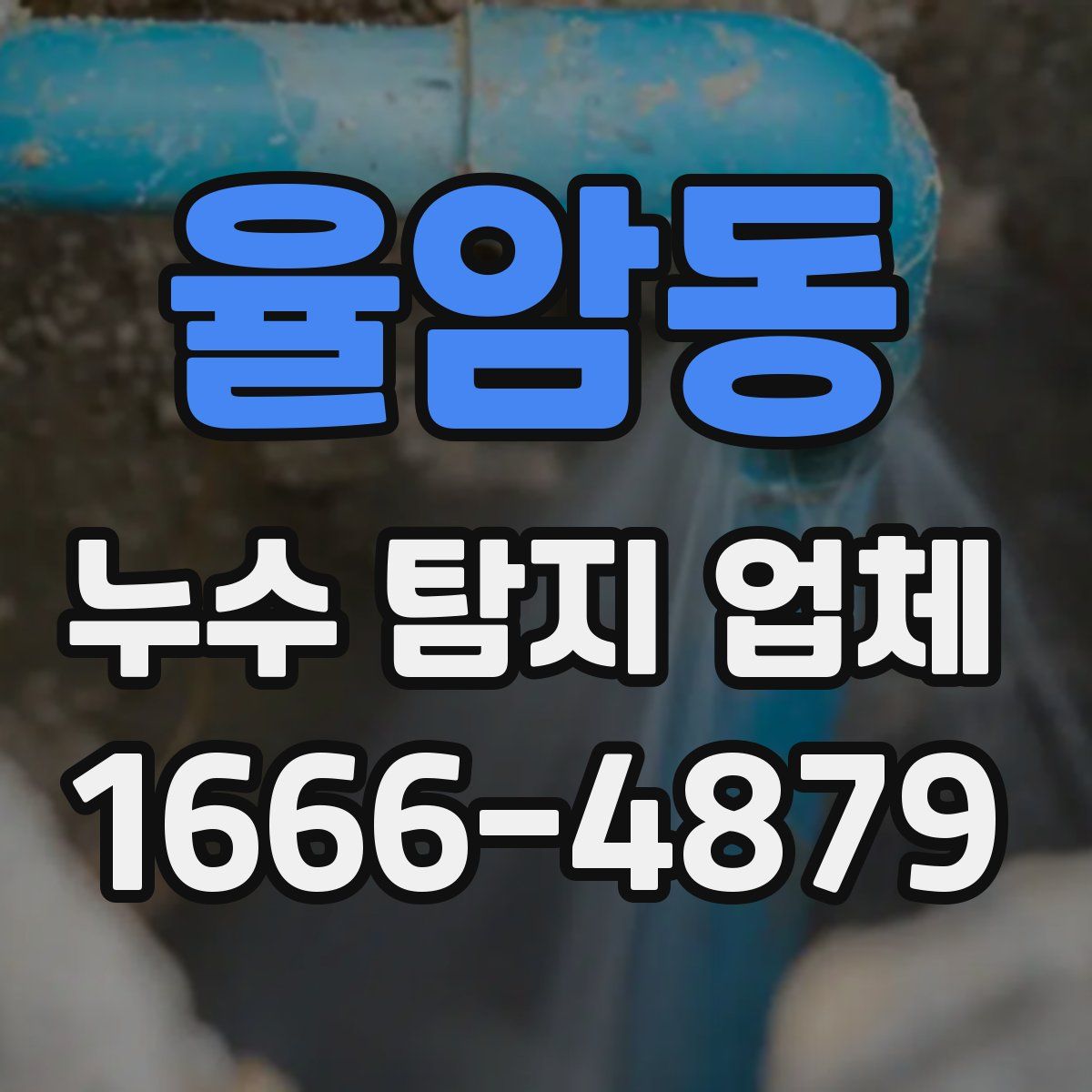 율암동 누수 탐지 업체