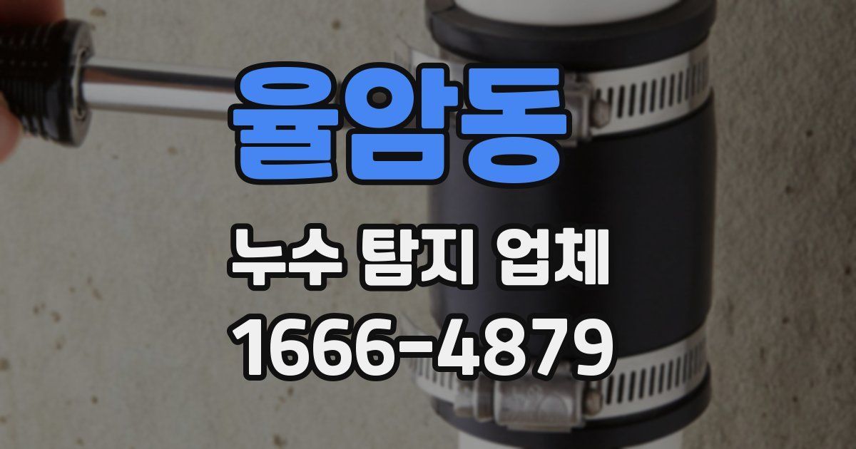 율암동 누수 탐지 업체