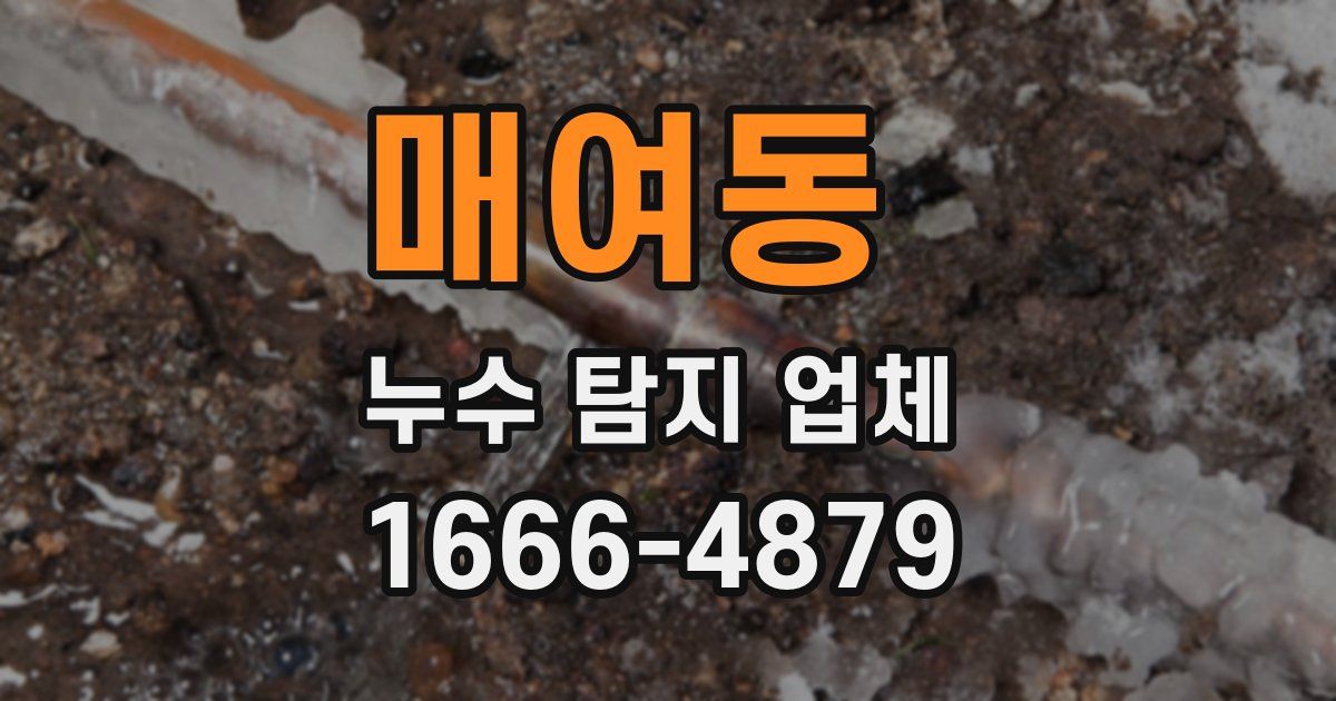 매여동 누수 탐지 업체