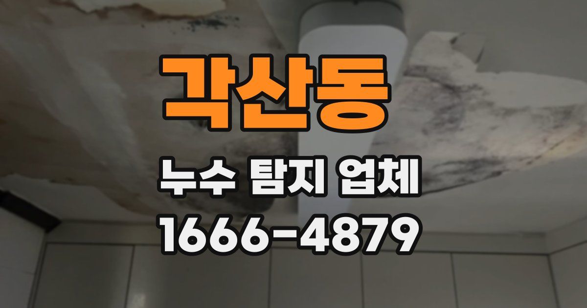 각산동 누수 탐지 업체