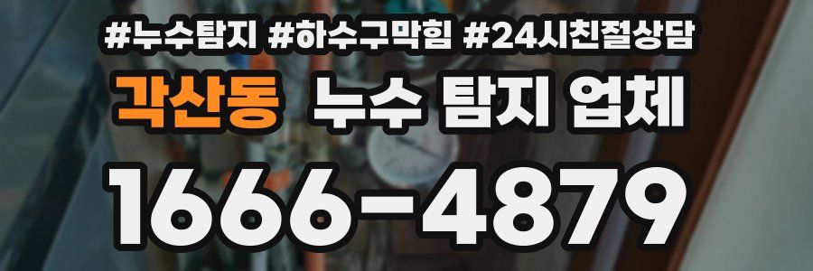 각산동 누수 탐지 업체