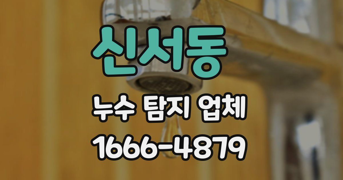 신서동 누수 탐지 업체