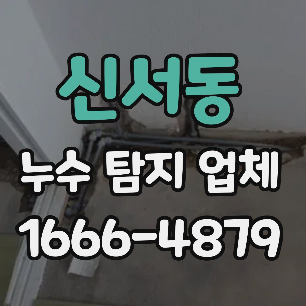 신서동 누수 탐지 업체