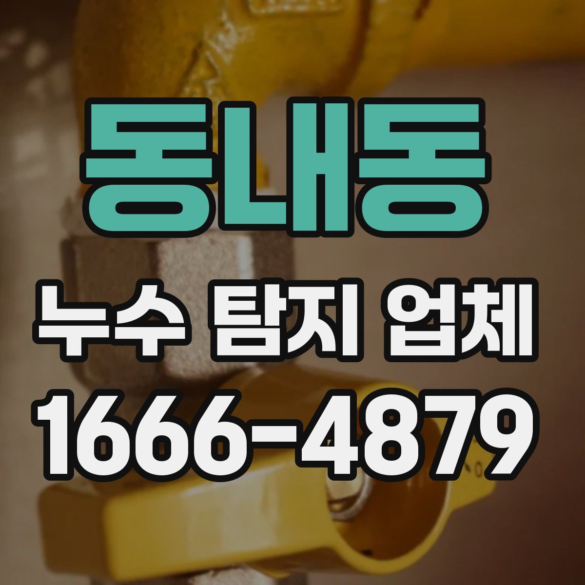 동내동 누수 탐지 업체